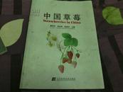 中国草莓（汉英对照）1版1印