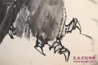 单志华--老鹰