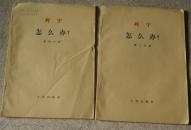 列宁  怎么办？ 第三分册，第四分册