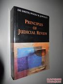 De Smith, Woolf, and Jowell's Principles of Judicial Review 英文原版