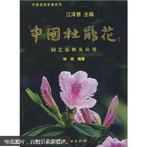 中国杜鹃花：园艺品种及应用