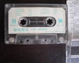 爱的傻瓜.王茜.聪聪.演唱磁带.长白山音像出版社