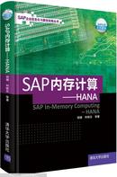 SAP内存计算:HANA