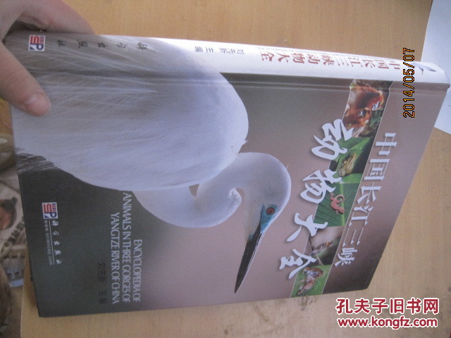 8549中國長江三峽動物大全  精