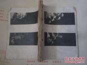 植物学   沈阳林业学校1954--1955   【油印本