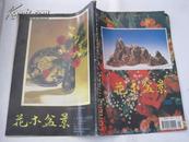 花木盆景（1995年1期）双月刊J