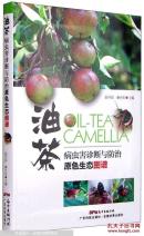 油茶人工种植技术书籍  油茶林病虫害防控技术（视频U盘）+1书