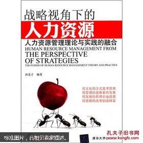 战略视角下的人力资源：人力资源管理理论与实践的融合