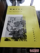 《特集-甲戌所集撝叔遗墨》赵之谦1978年NO.7近代书道研究所出版 日本月刊杂志