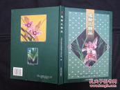 莲瓣兰精品(精装)