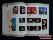 莲瓣兰精品(精装)