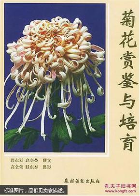 菊花赏鉴与培育(精)