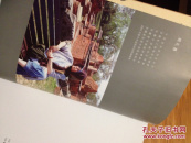 安徽著名工笔画家《胡礼惠绘画作品集》作品全面！