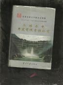 全国百家大中型企业调查 (85-95国家社会科学重点课题)---二滩水电开发有限责任公司