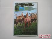 朝鲜1993年动物鹿小型张原胶新票一枚(26）小瑕疵