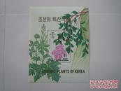 朝鲜1993年植物小型张原胶新票一枚(27)小瑕疵