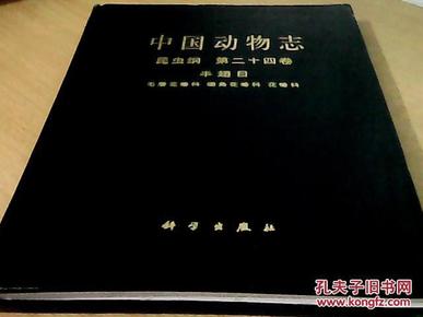 中国动物志 昆虫纲（第二十四卷）半翅目 毛唇花蝽科 细角花蝽科 花蝽科