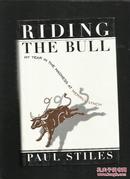 RIDING THE BULL MY YEAR IN THE MADNESS AT MERRILL LYNCH