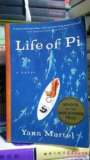 Life of Pi