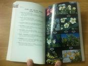 (Peterson Field Guides) Rocky Mountain Wildflowers【英文原版】