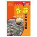 香菇种植技术书 香菇栽培书 你问我答--香菇生产技术问答