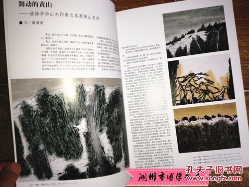 中国当代美术家书系 杨学华山水·印象之水墨黄山 全彩版 正版全新