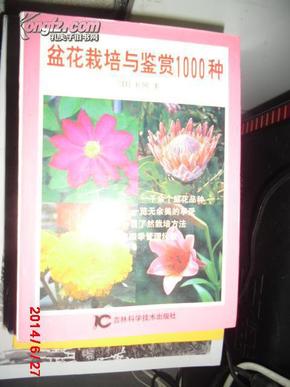 盆花栽培与鉴赏1000种