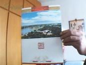 祝贺新禧2009年,中国邮政贺年有奖小全张,面值,4,20元