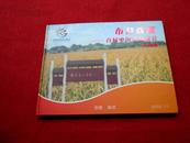 布谷欢歌—首届中国农民歌会纪念邮册