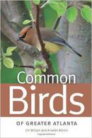 Common Birds of Greater Atlanta (Wormsloe Foundation Nature Book) 亚特兰大鸟类