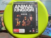 DVD 《动物王国》