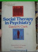 Social Therapy in Psychiatry