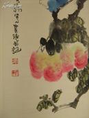 著名画家张大羽   国家一级美术师，中国画院画家 花鸟画一幅，立轴   保真