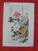 现代中国画.牡丹花.8开