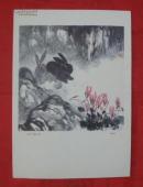 现代中国画.兔子与兔子花.8开