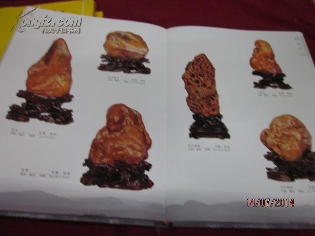 翁江奇石（精装）