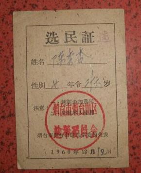 选民证（1960）