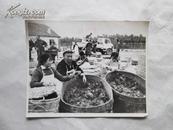安徽日报社流出七十年代照片原稿之九十九（关于养殖螃蟹的收售）