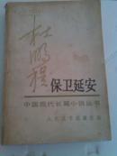 保卫延安