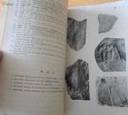中国脊椎动物化石手册---鱼类、两栖类、爬行类部分