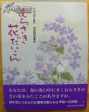 むらさき花だいこん(日文原版)画册