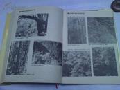 湖南植被（大16开精装本）仅印1700册 后有大量图片资料