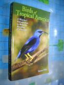 Birds of Tropical America: A Watcher's Introduction to Behavior, Breeding, and Diversity (Mildred Wyatt-Wold Series in Ornithology) 美洲熱帶鳥 插圖本
