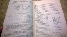心脏的应用和功能的解剖  L2