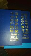 中国电子信息产业统计年鉴2013（软件篇）