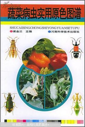 蔬菜病虫实用原色图谱