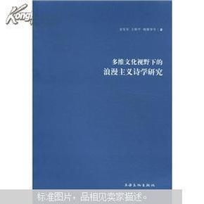 多维文化视野下的浪漫主义诗学研究