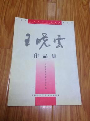 王晓云作品集