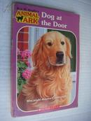 Dog at the door