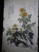 宣纸水墨画   菊花